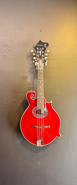 Eastman MD814 mandolin - 2024