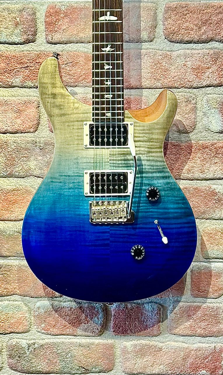 PAUL REED SMITH SE Custom - 2023