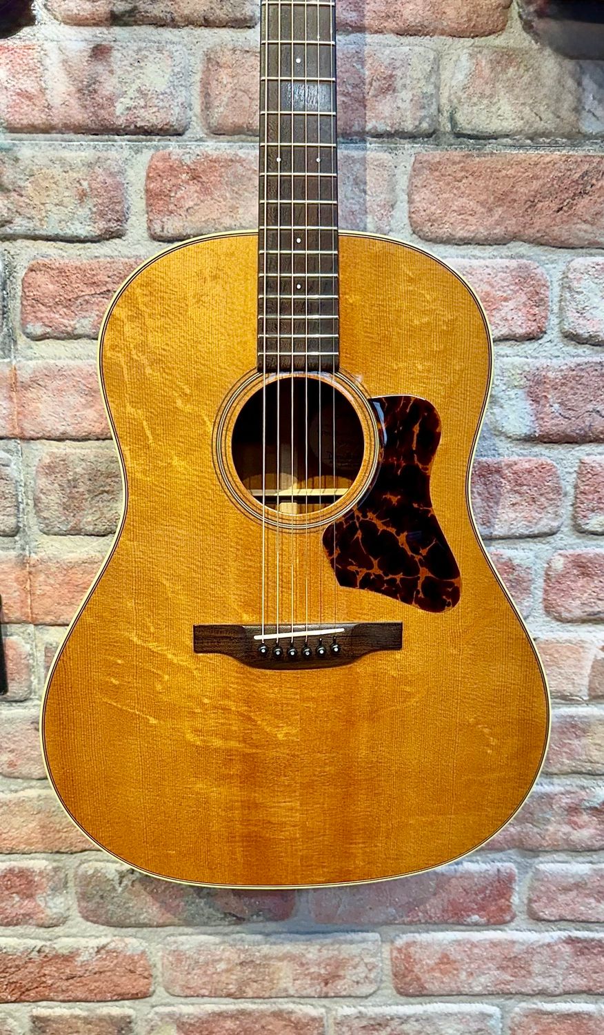 Bourgeois Banjo Killer - 2013
