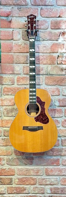 Godin Fairmount CH LTD Rosewood HG EQ  -Pre Owned