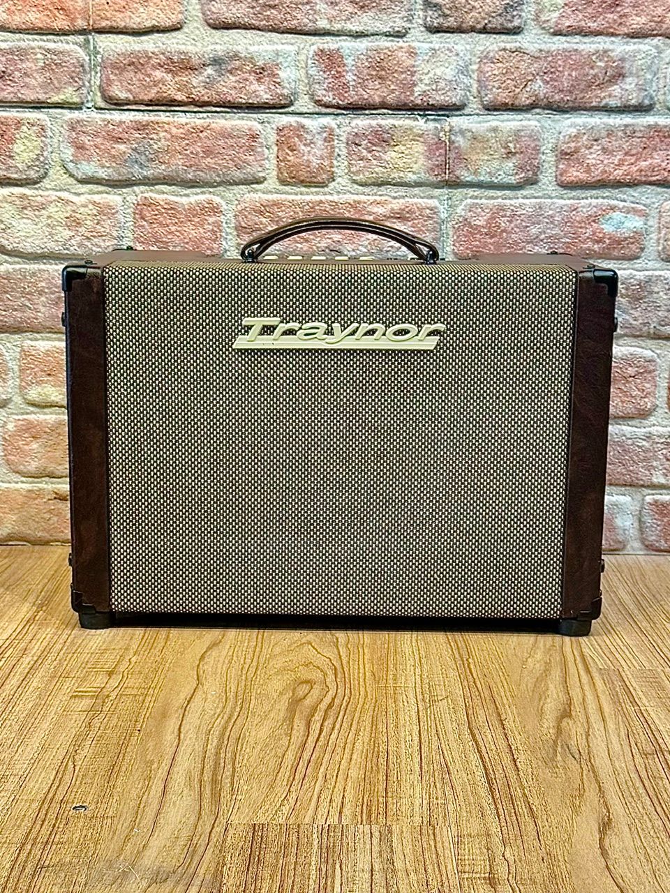 Traynor Acoustic Master Custom