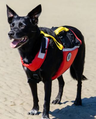 Underdog PFD