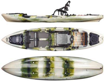 Mayfly