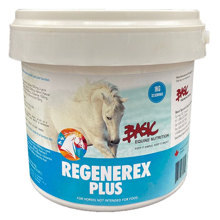 Basic Equine Regenerex Plus 1KG