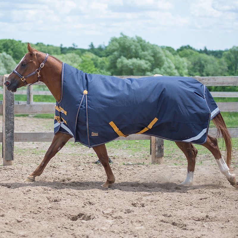 Canadian Horsewear 300gm Turnout - 69” Oxford
