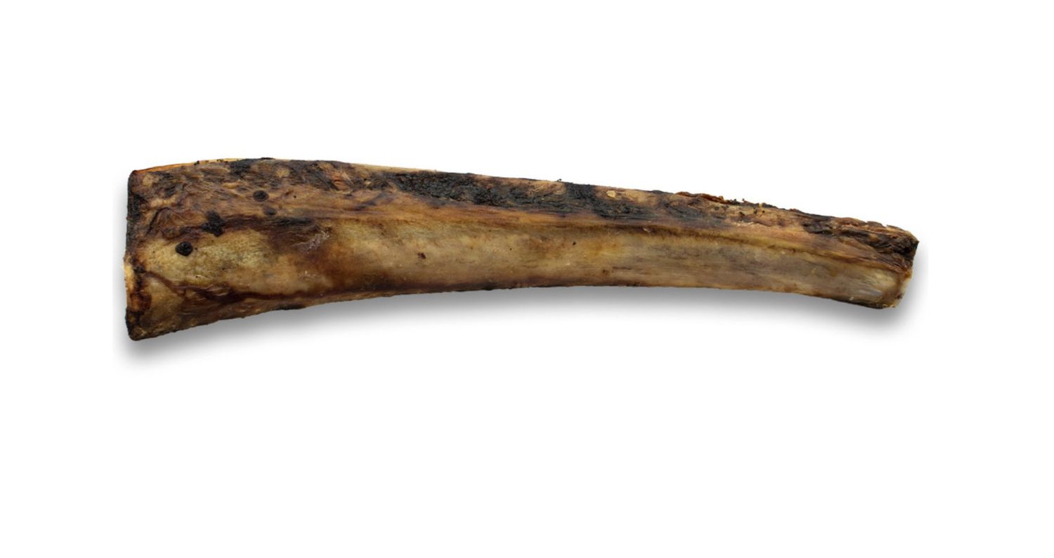 ASADO Beef Rib 12&quot;