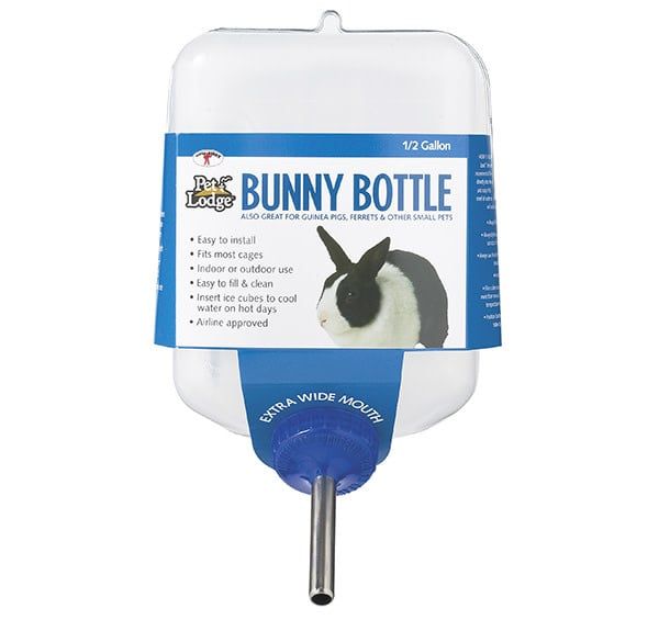 Bunny Water Bottle 64OZ