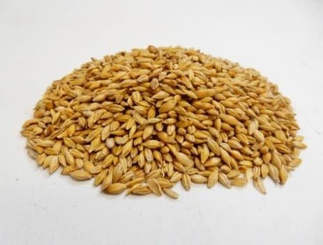 Otter Co-Op Whole Barley 20KG
