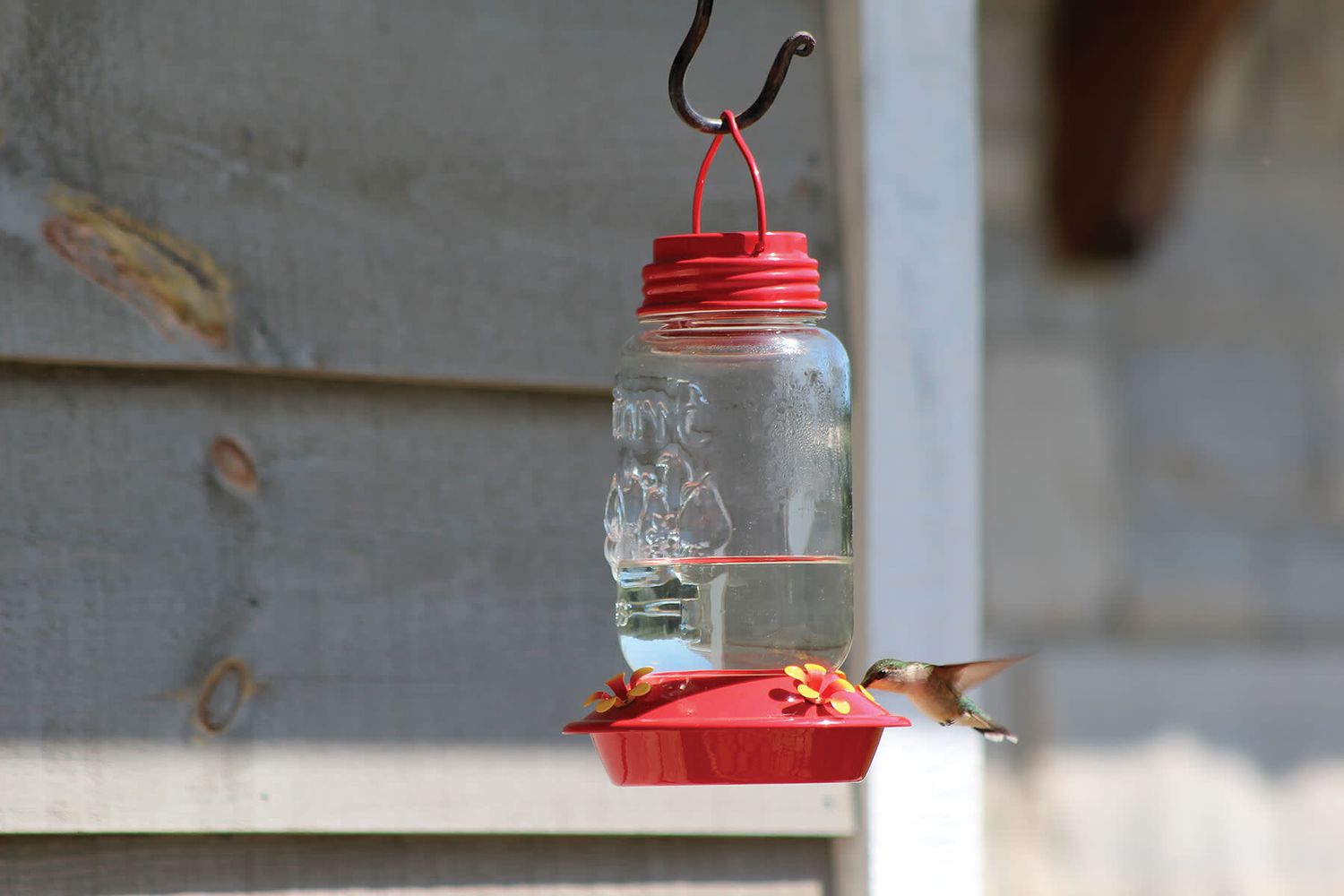 Hummingbird Feeder Mason Jar Style