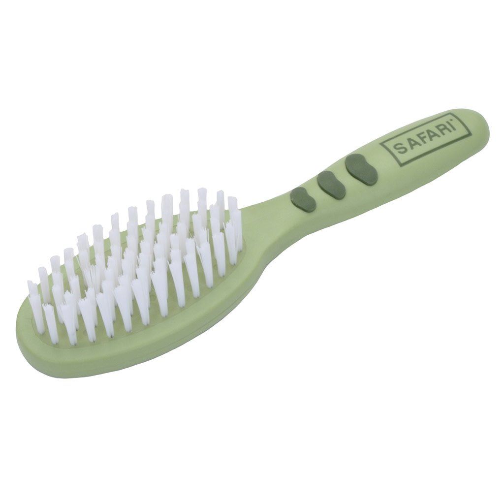 Safari Bristle Brush [CAT]~