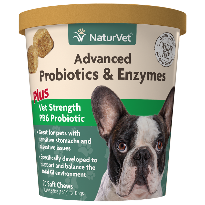 Advanced Probiotics &amp; Enzymes Soft Chew 70CT