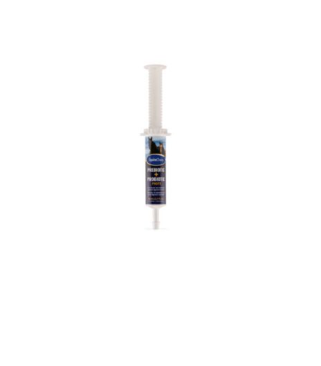 Equine Choice Pre &amp; Probiotic Paste 80mL