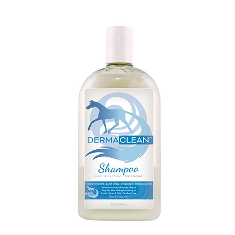 Derma Clean Shampoo 16OZ