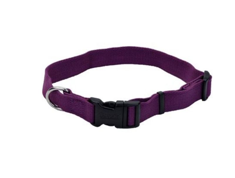 Soy Collar Eggplant 8-12” x 5/8”