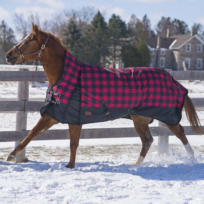 Canadian Horsewear 160gm Insulated Rainsheet - 81” Buffalo Plaid