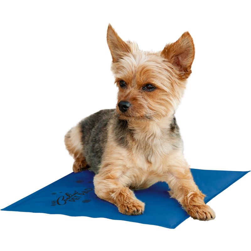 Coolin&#39; Pet Pad Blue Small 11&quot;x15&quot;