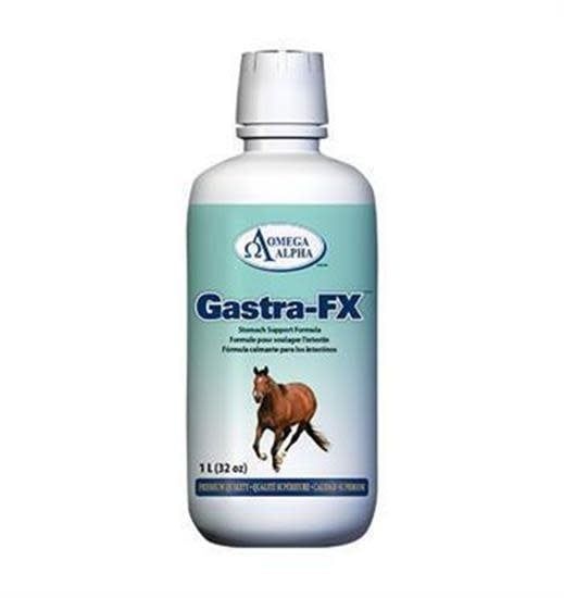 Gastra-FX 1L