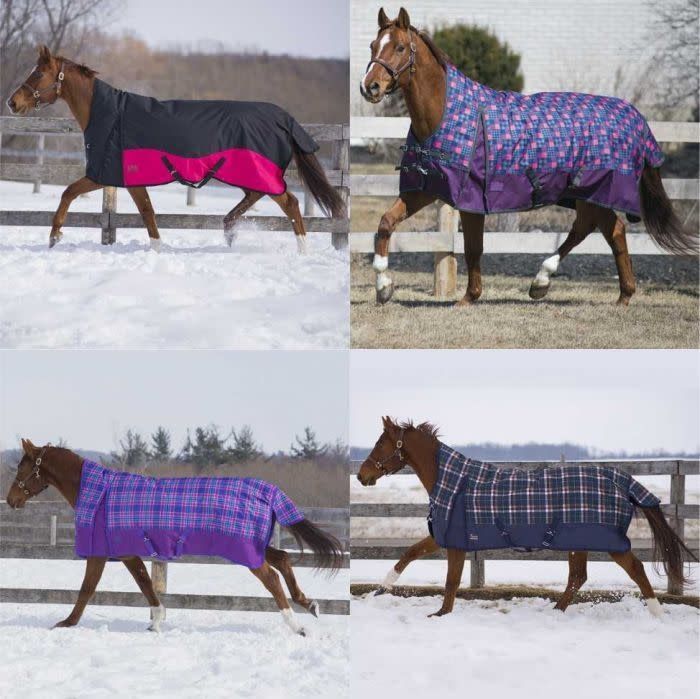 Canadian Horsewear 160gm Insulated Rainsheet - 81” Dark Blue/Light Blue