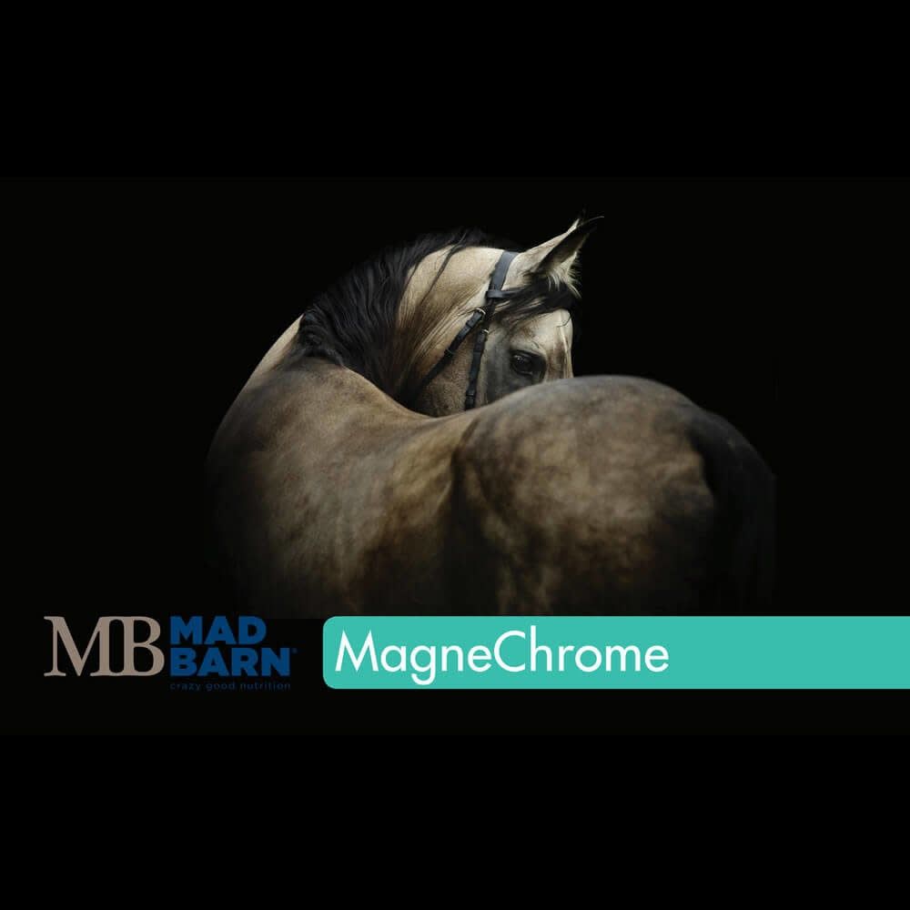 Mad Barn Magnechrome 5KG