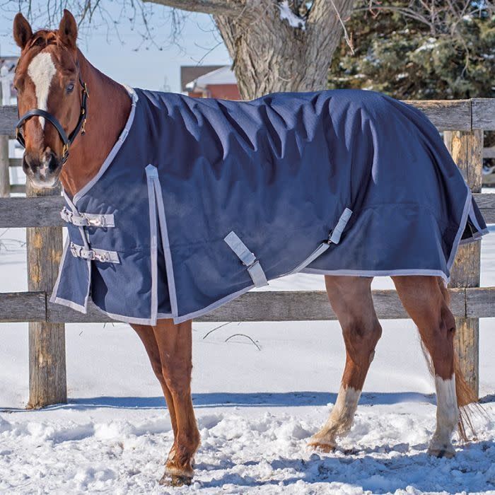 Canadian Horsewear 300gm Turnout - 78” Maxim Original