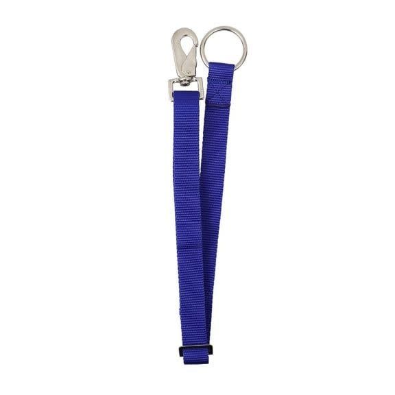 Nylon Bucket Strap 30" x 1" Blue