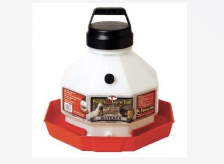 Plastic Poultry Fount 3 GAL