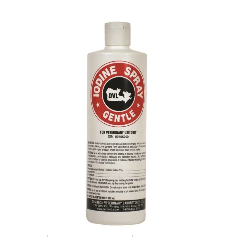DVL Iodine 1% Spray 500mL