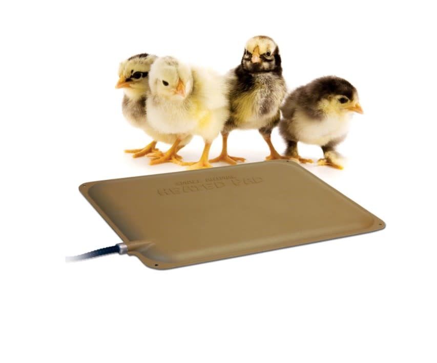 Thermo Peep Heated Pad