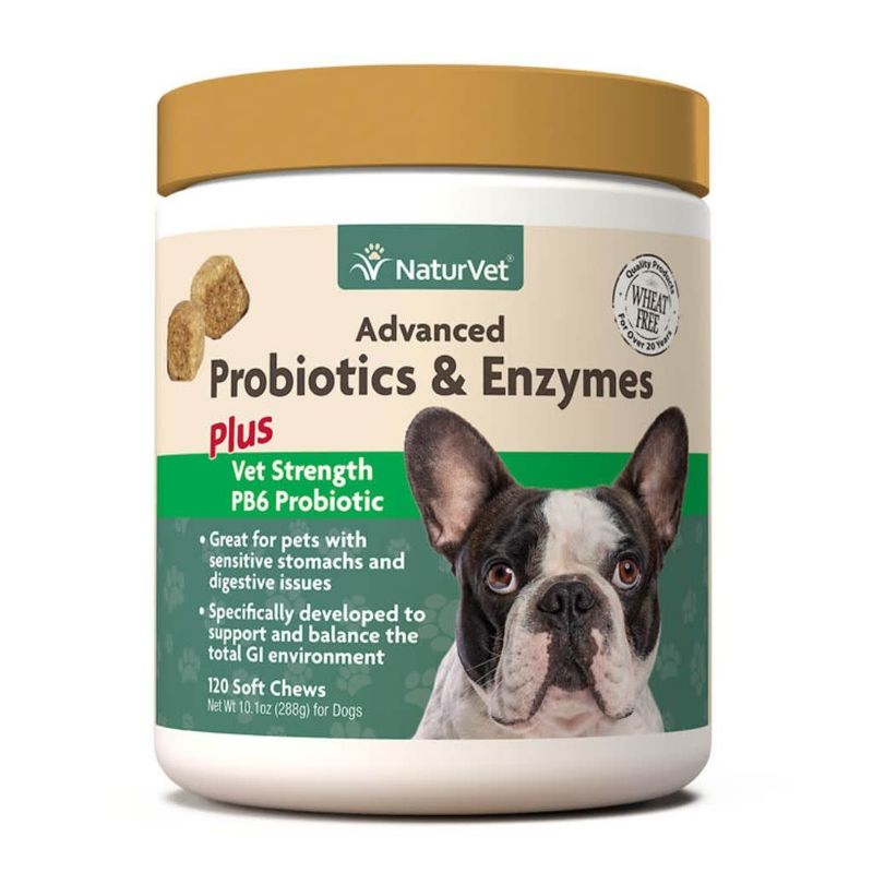 Advanced Probiotics &amp; Enzymes Soft Chew 120CT