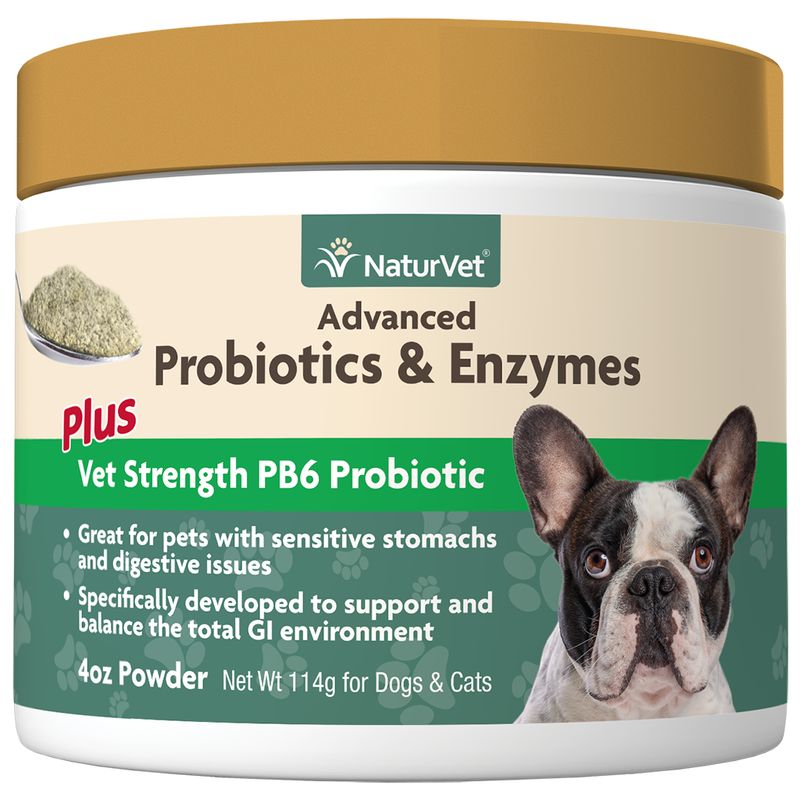 Advanced Probiotics &amp; Enzymes Powder 4OZ