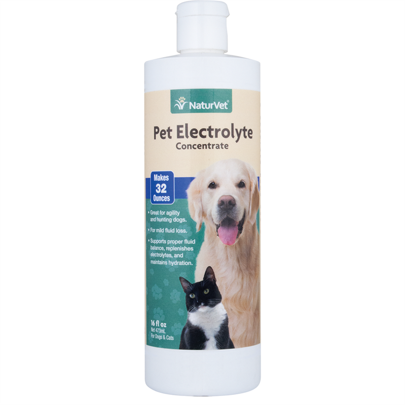 Pet Electrolytes 16OZ