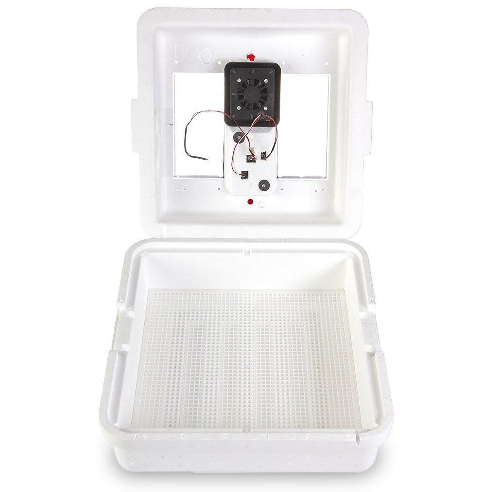 Little Giant Circulated Egg Incubator