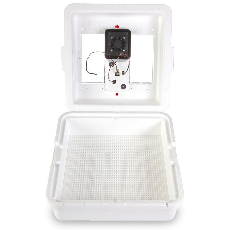 Little Giant Circulated Egg Incubator