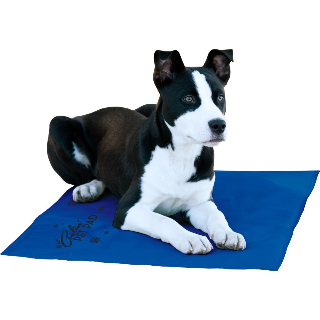 Coolin&#39; Pet Pad Large 20&quot;x36&quot;