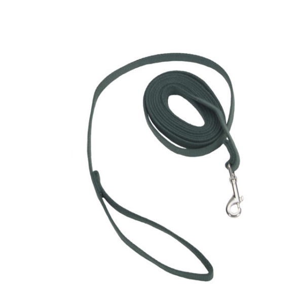 TrainRight! Cotton Web Training Leash 5/8&quot; x 10&#39; Green