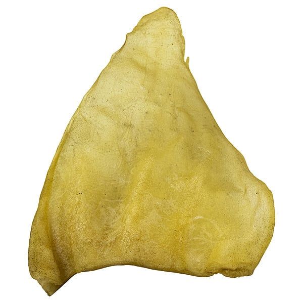 Natural Buffalo Ear