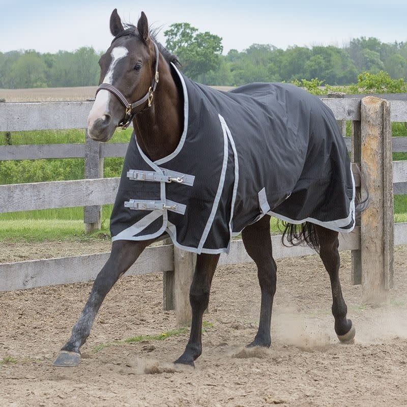 Canadian Horsewear 160gm Insulated Rainsheet - 66” Tuxedo