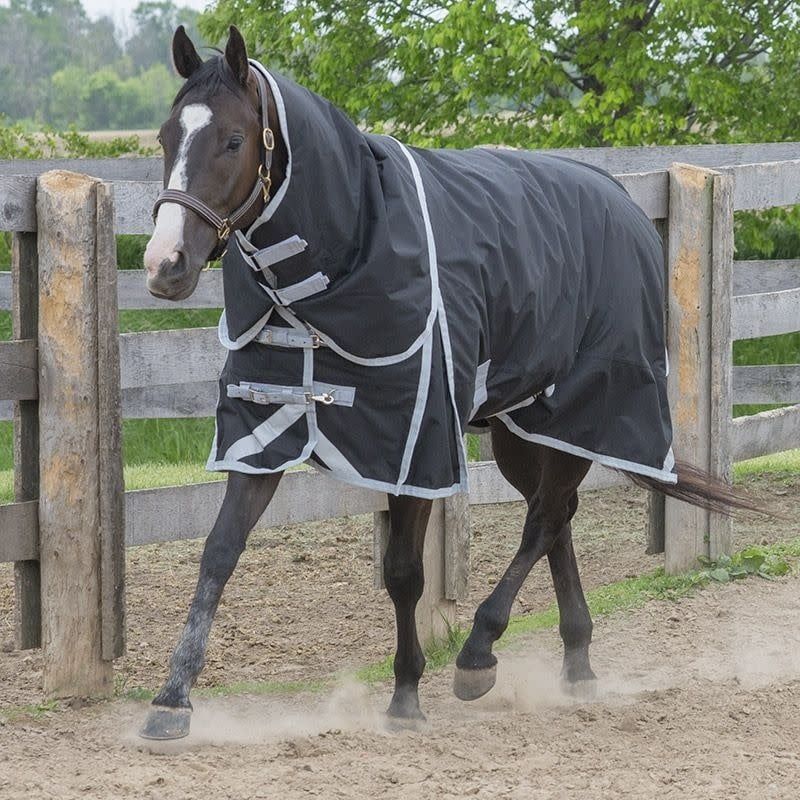 Canadian Horsewear 300gm Turnout - 78” Tuxedo Diablo