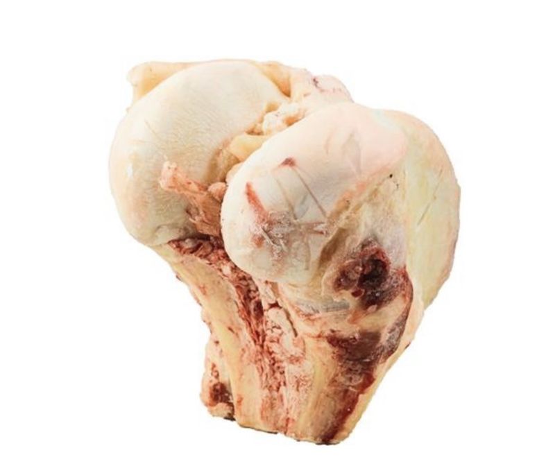 K9 Choice Frozen - Buffalo Knuckle Bones