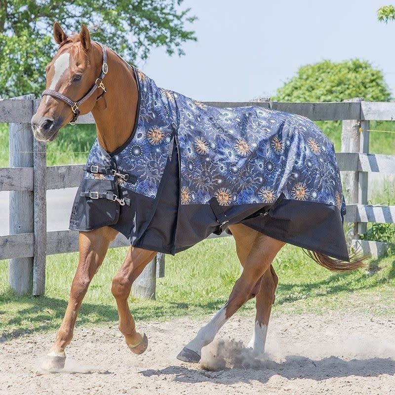Canadian Horsewear 160gm Insulated Rainsheet - 63” Celestial