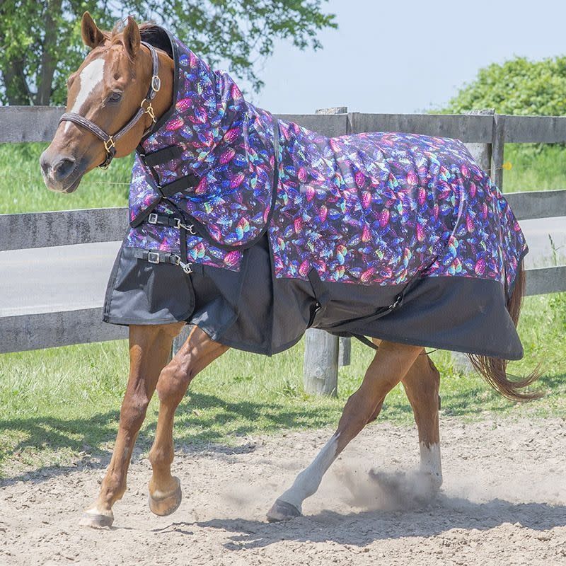 Canadian Horsewear 160gm Insulated Rainsheet - 75&quot; Dreamcoat Diablo