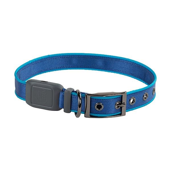 NiteDog Rechargeable LED Collar Blue MED