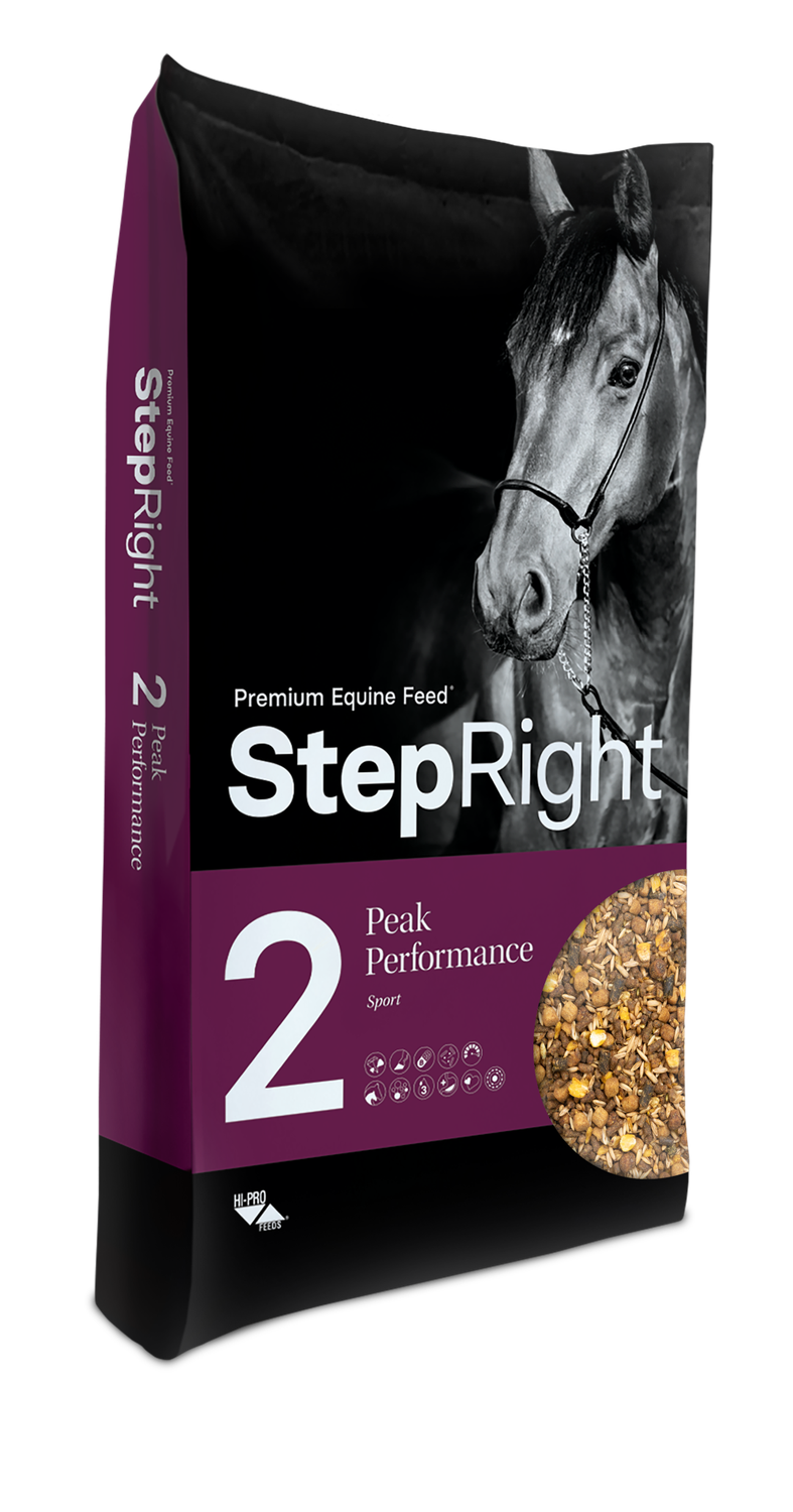 Step Right Step 2 Peak Performance 20KG