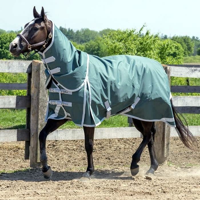 Canadian Horsewear 160gm Insulated Rainsheet - 63” Fenway Diablo