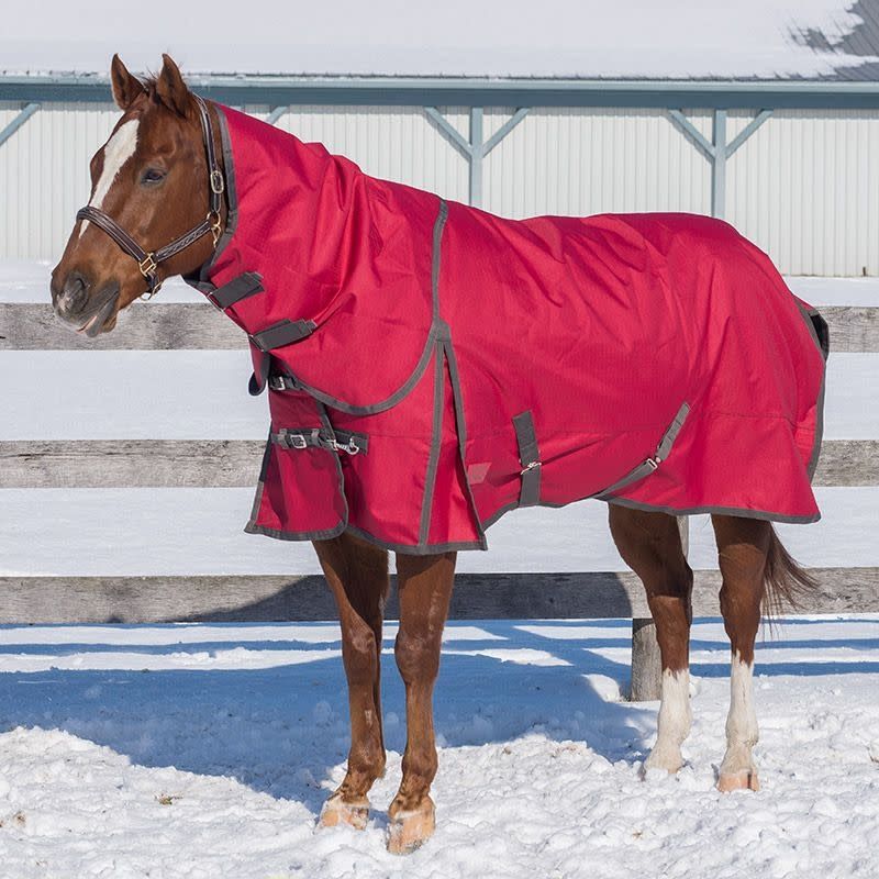 Canadian Horsewear 300gm Turnout - 81” Rosewood Diablo