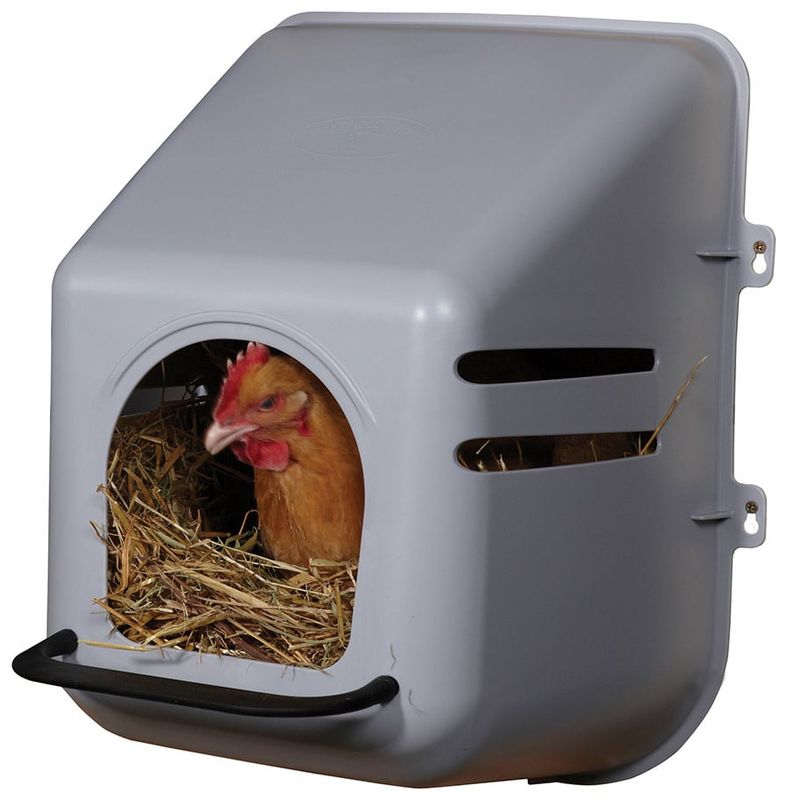 Poultry Nesting Box