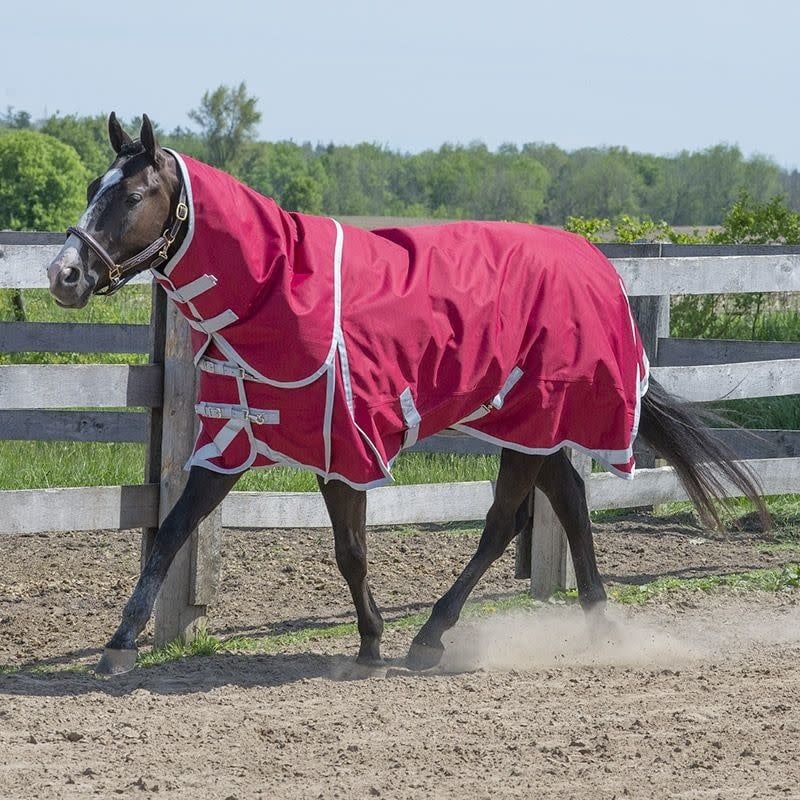 Canadian Horsewear 300gm Turnout - 56” Matador Diablo