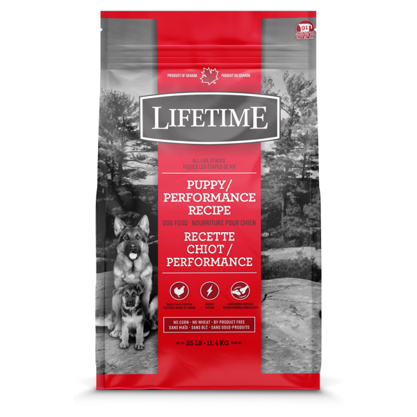 Lifetime Ckn &amp; Oat Pup / Performance [DOG] 11.4KG
