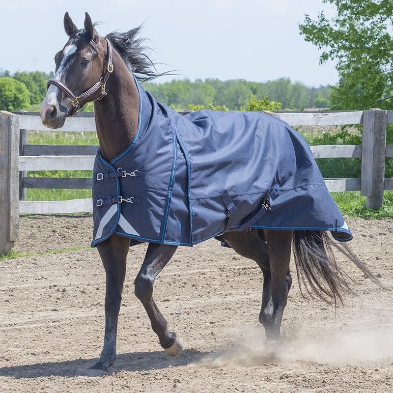 Canadian Horsewear 160gm Insulated Rainsheet - 75” Hurricane