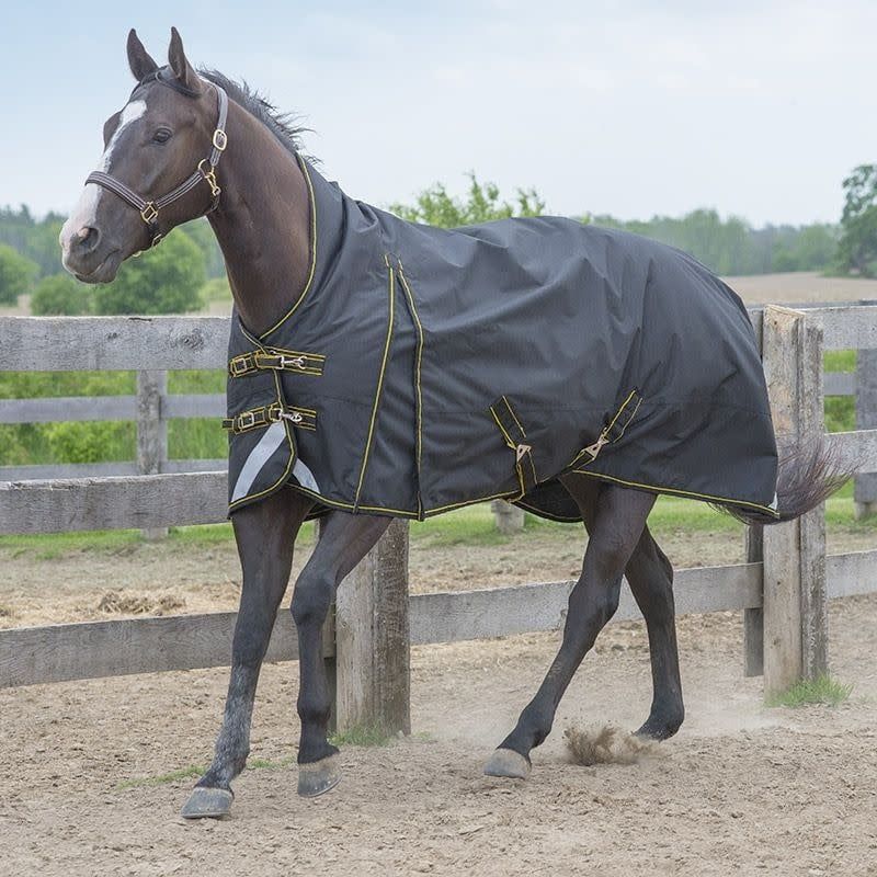 Canadian Horsewear 160gm Insulated Rainsheet - 75&quot; Mamba